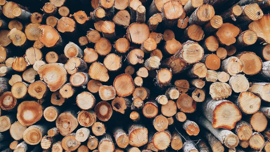 wood-1868104_1920_4zu3
